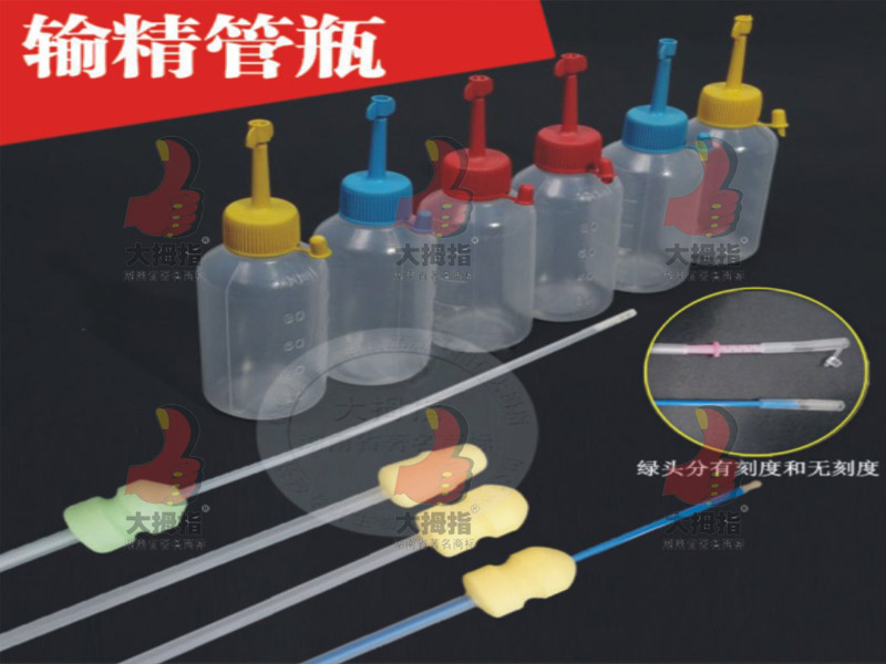 输精管瓶